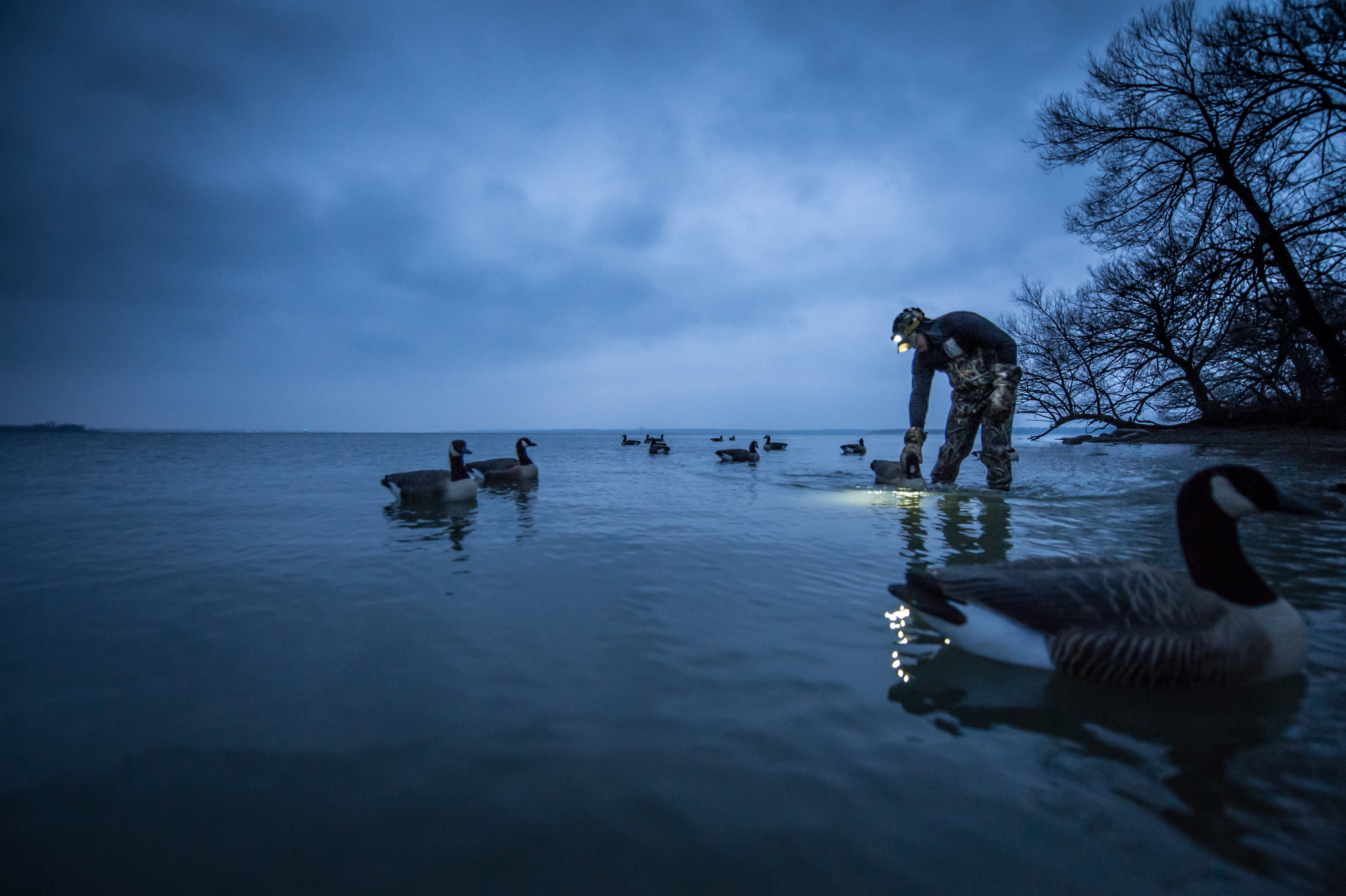 Floater Goose Decoys – Tanglefree Shop