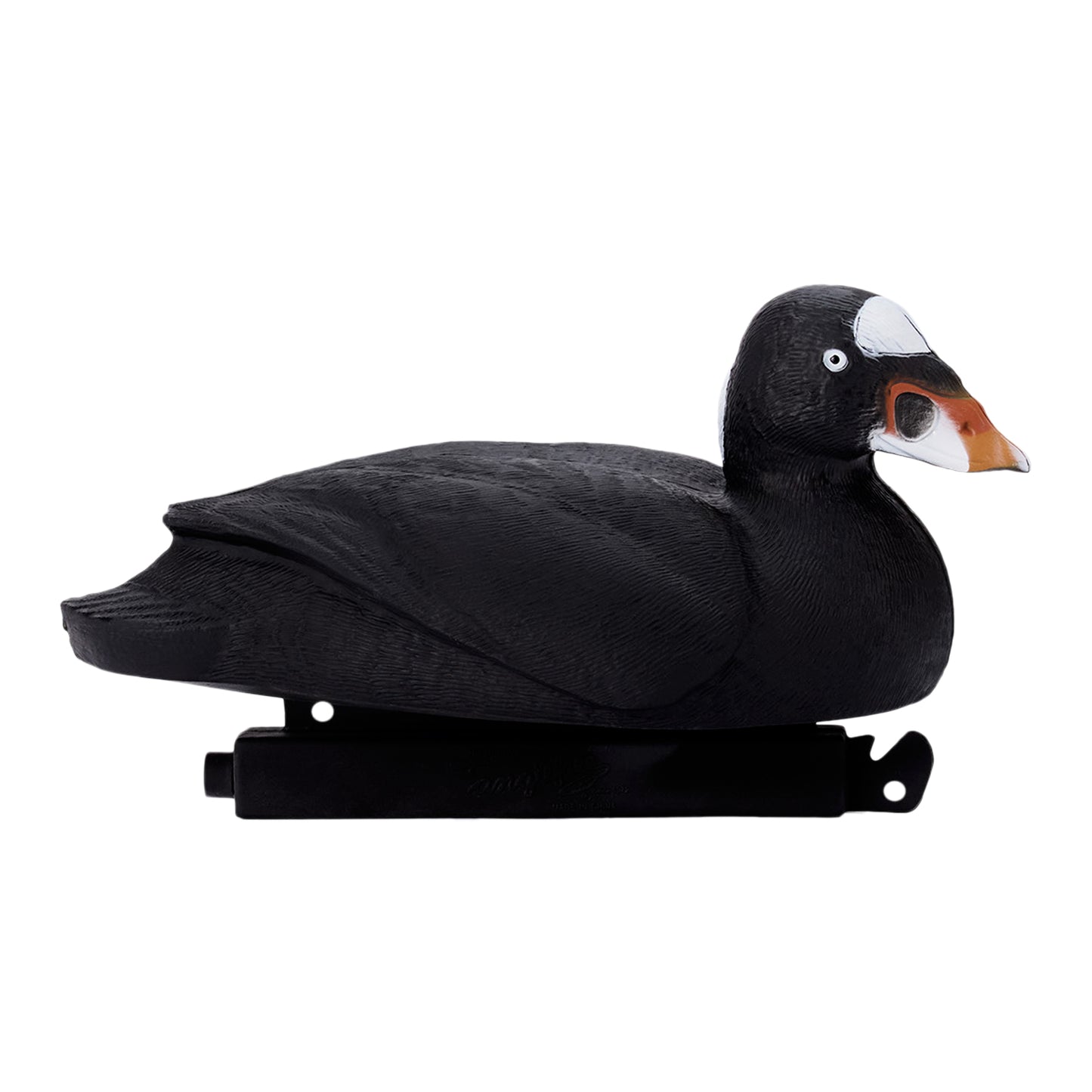 Migration Edition Surf Scoter