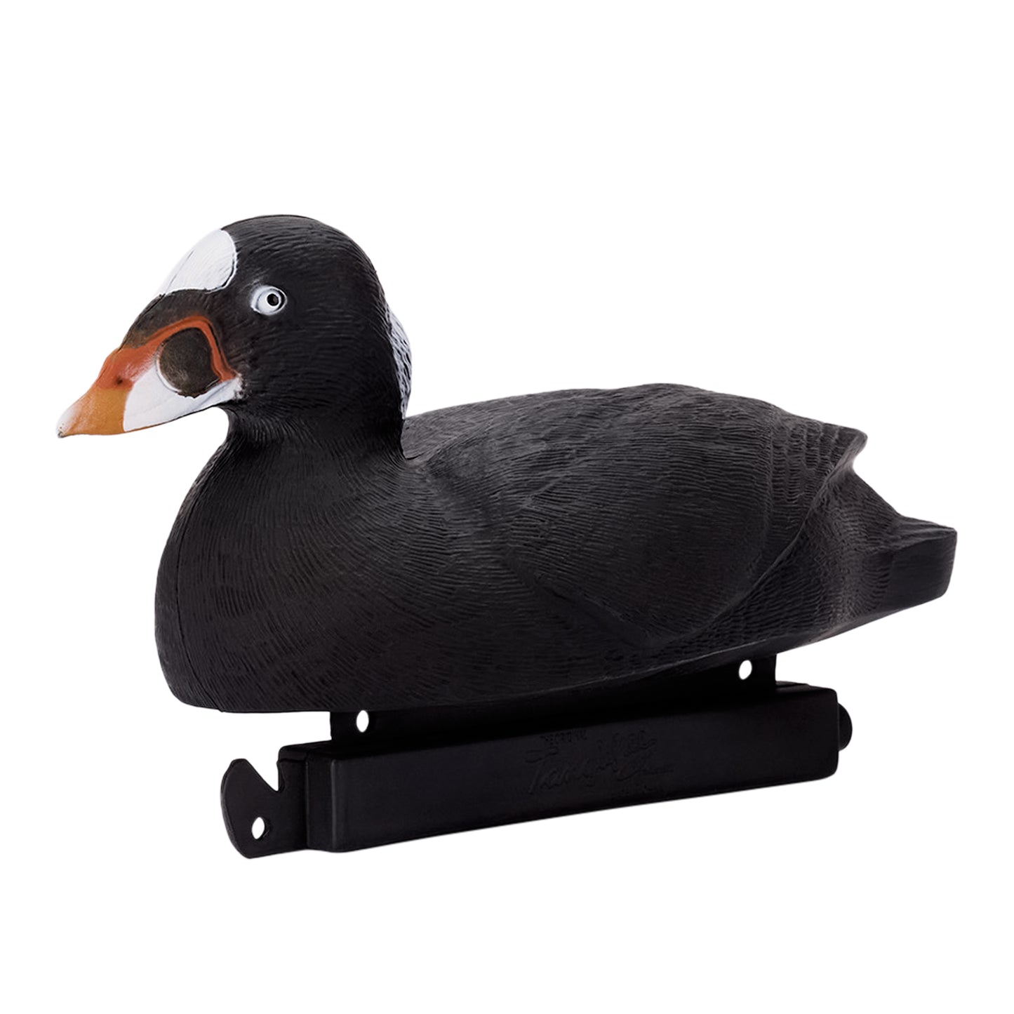 Migration Edition Surf Scoter