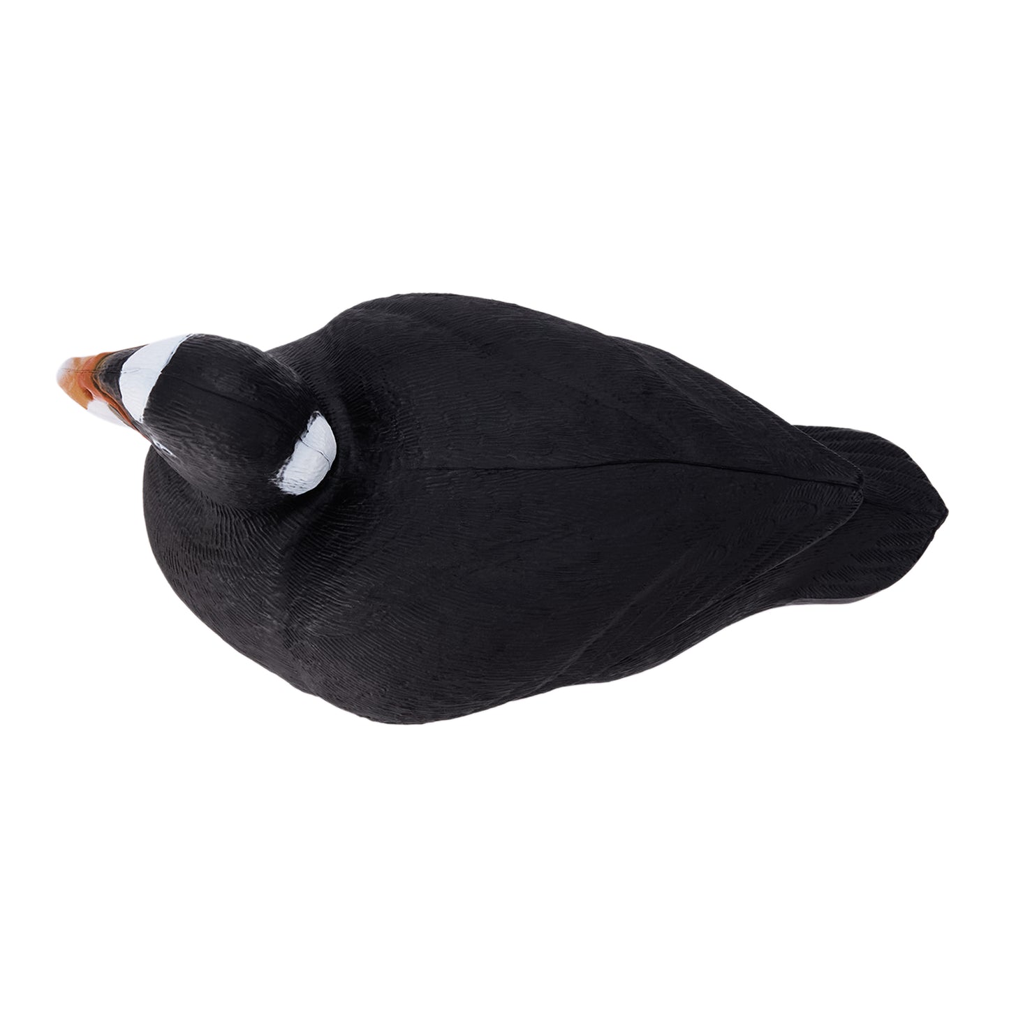 Migration Edition Surf Scoter