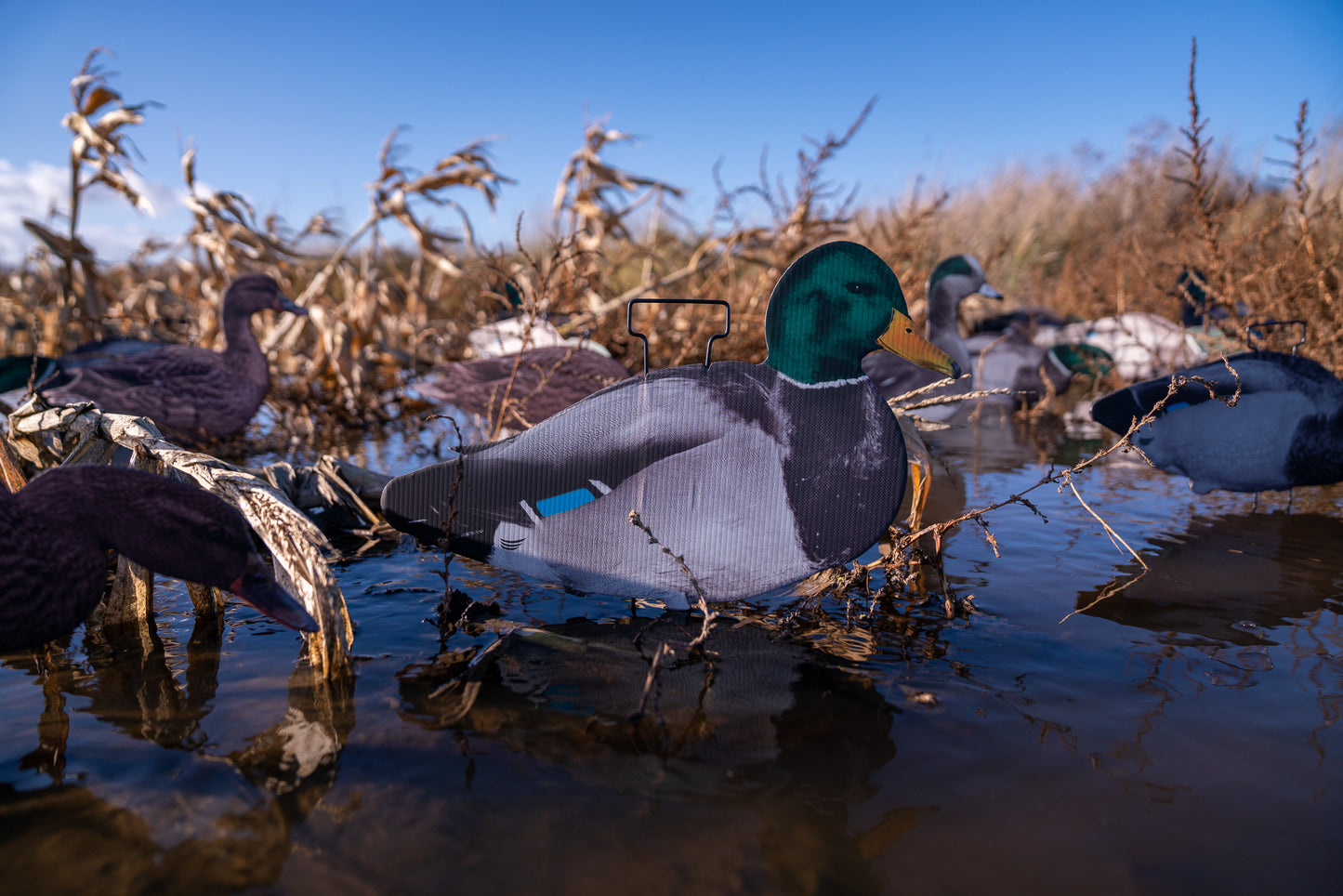 Skinny Duck Decoys 60 Pack with FREE Skinny Dirt Decoy Bag