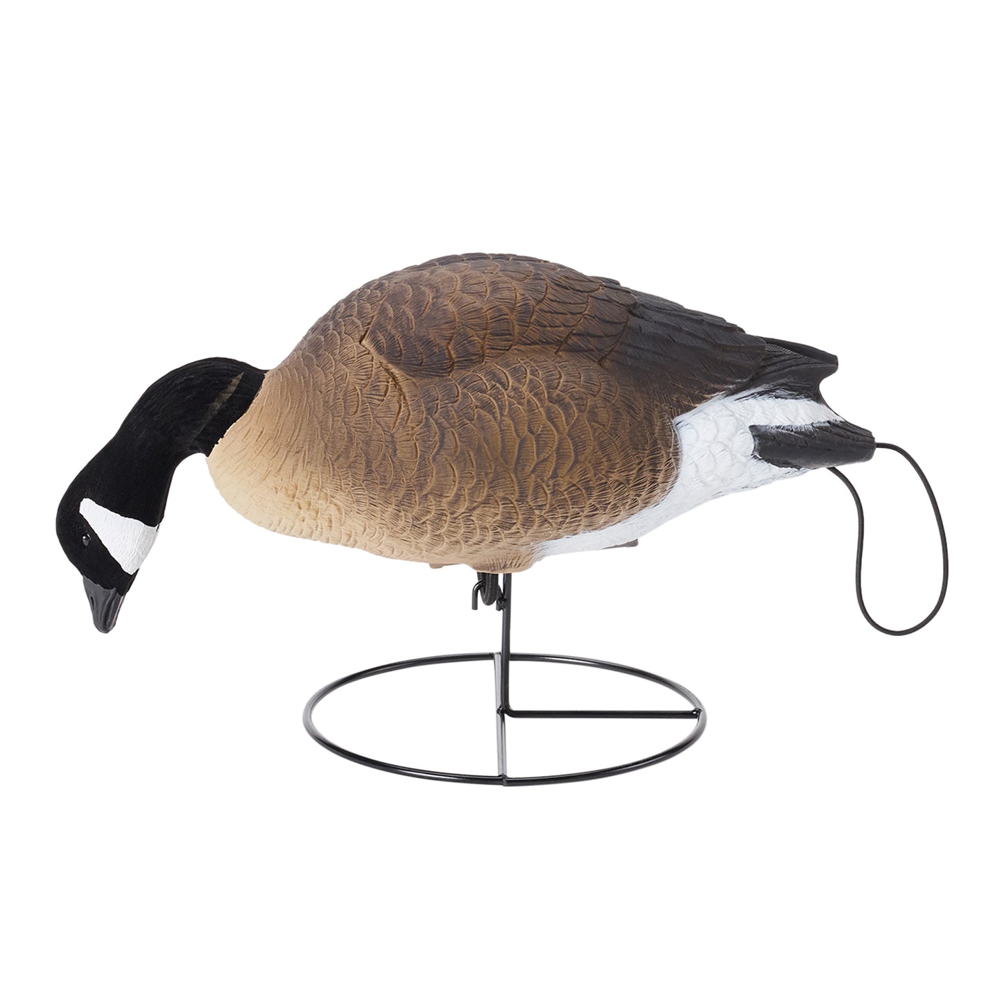 Flight Full Body Canada Goose Feeders