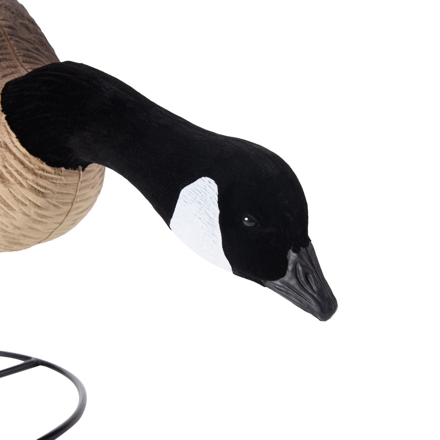Flight Full Body Canada Goose Feeders