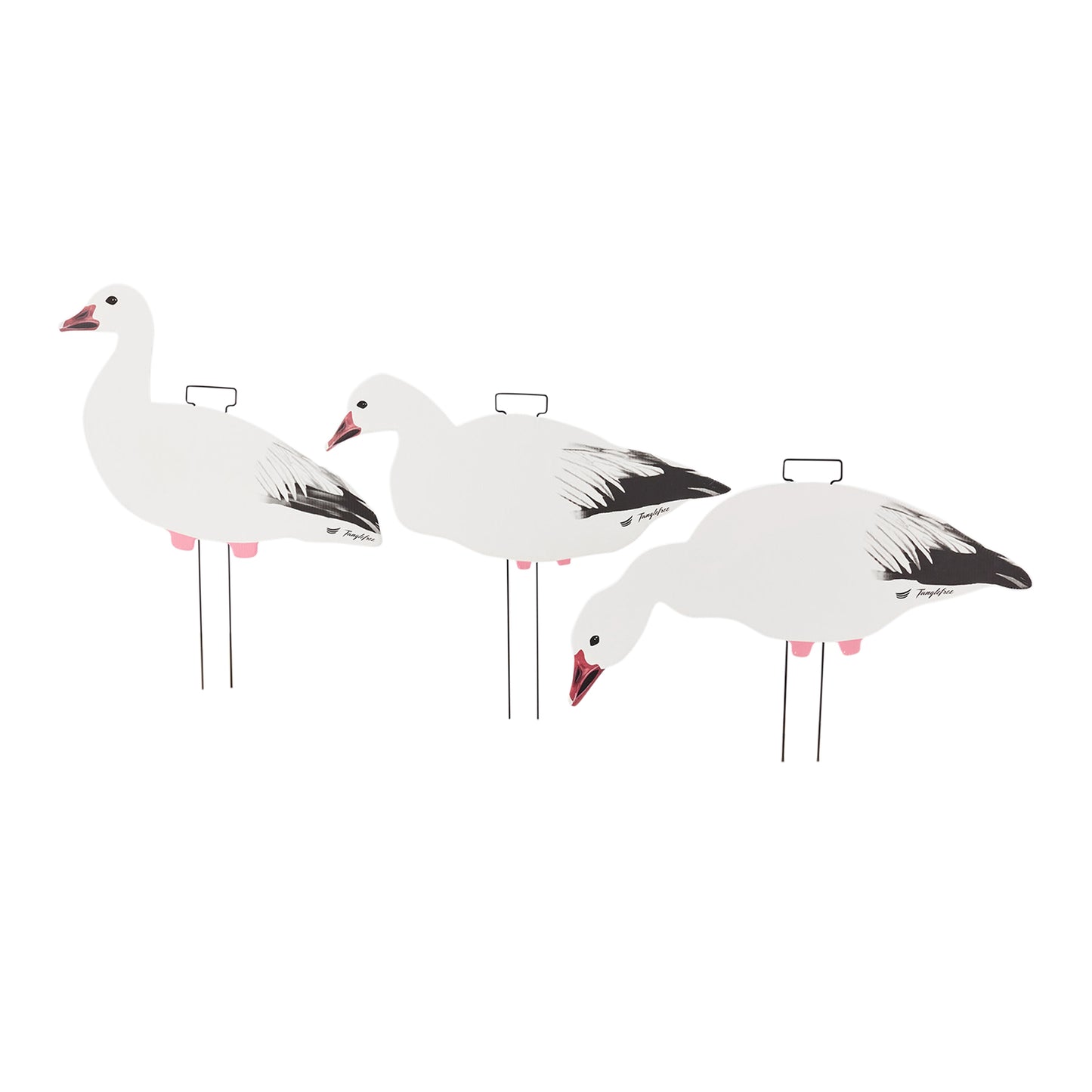 Snow Goose Skinny