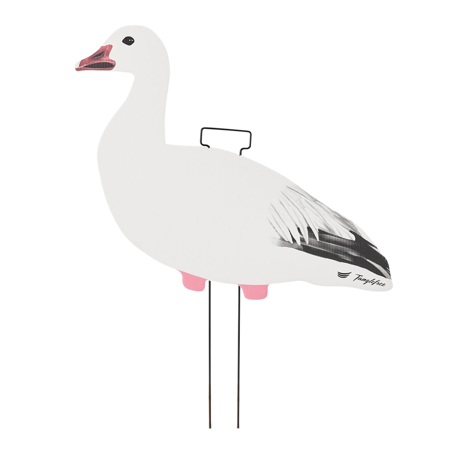 Snow Goose Skinny