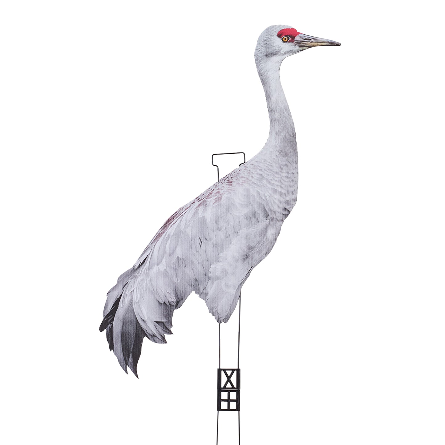 Fully Flocked Sandhill Crane Skinny (12 Pack)