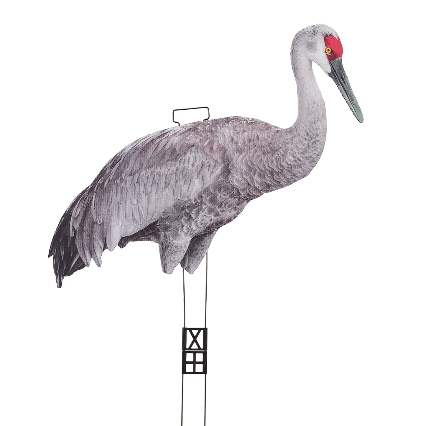 Fully Flocked Sandhill Crane Skinny (12 Pack)