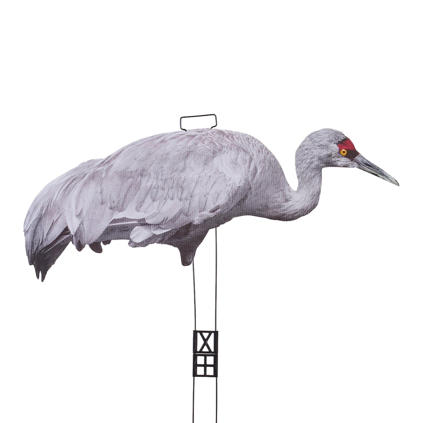 Fully Flocked Sandhill Crane Skinny (12 Pack)