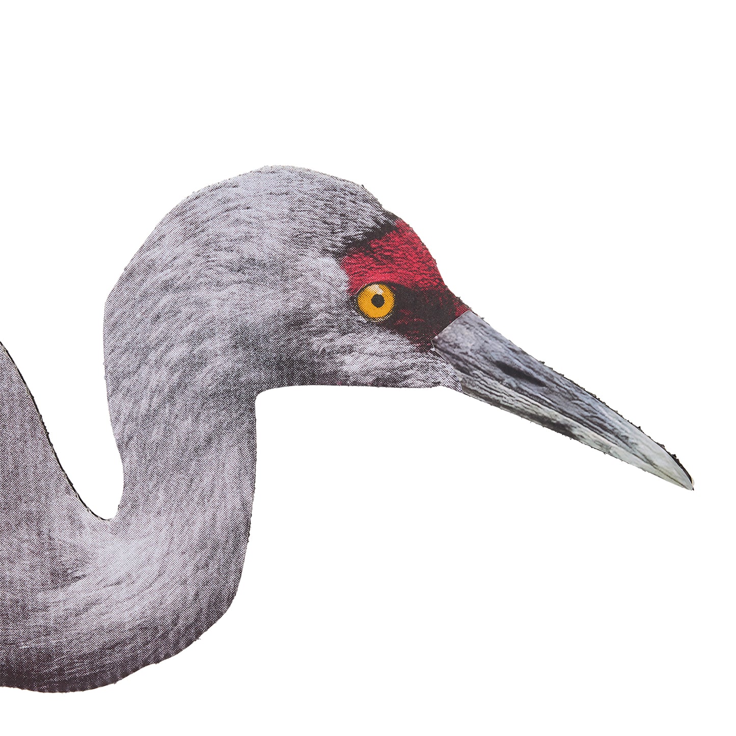 Fully Flocked Sandhill Crane Skinny (12 Pack)