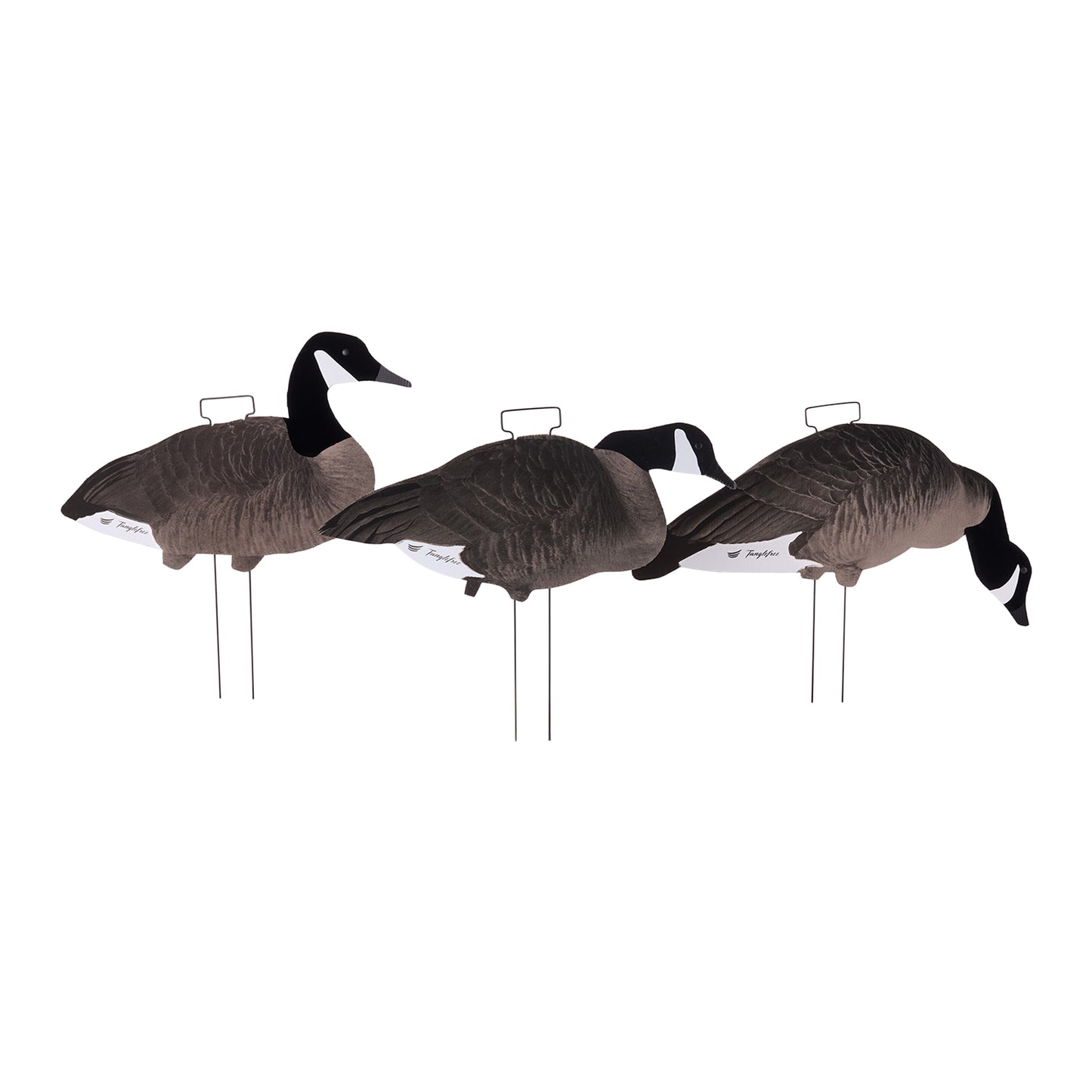Fully Flocked Lesser Canada Skinny Decoys (12 Pack)
