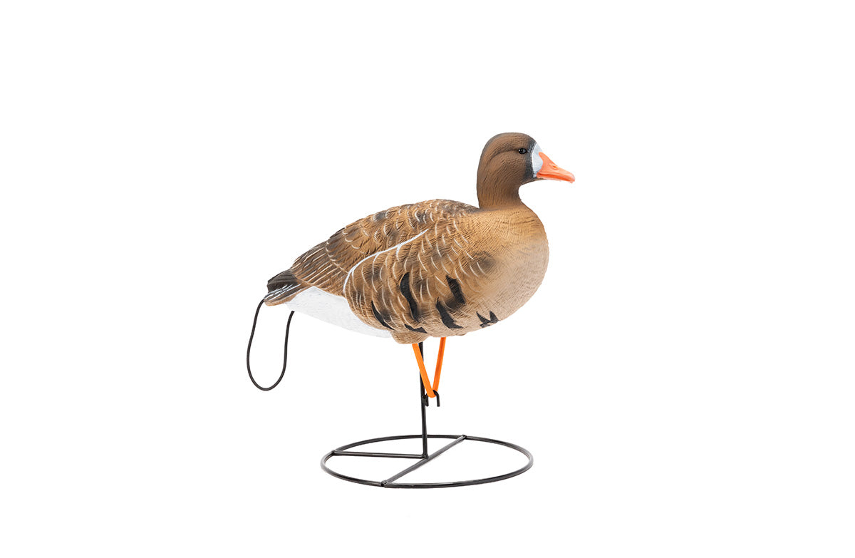 Flight Series Full Body Specklebelly Goose Decoys