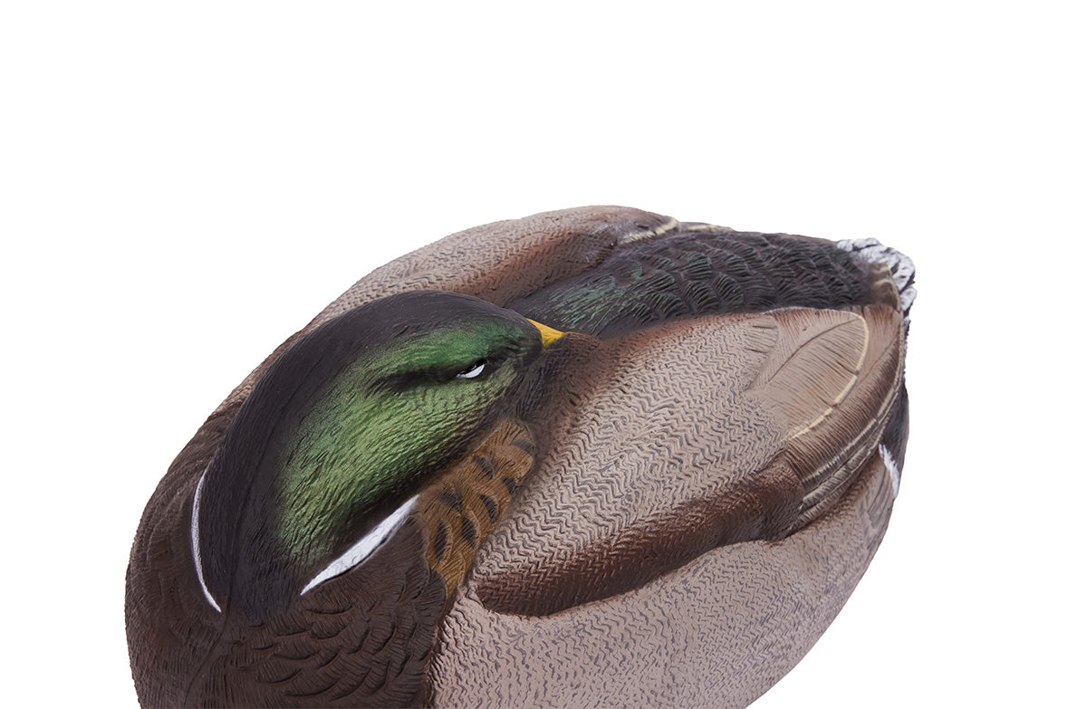 Flight Series Mallard Sleeper Shells - 12pk