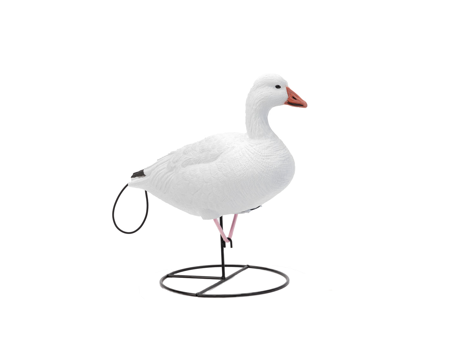 Flight Series Full Body Snow Goose Decoy Combo Pack