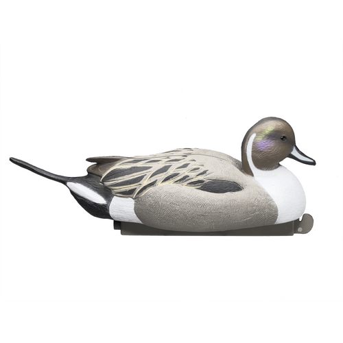 Magnum Pintail Decoys