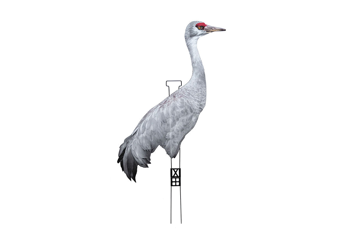 Fully Flocked Sandhill Crane Skinny (12 Pack)