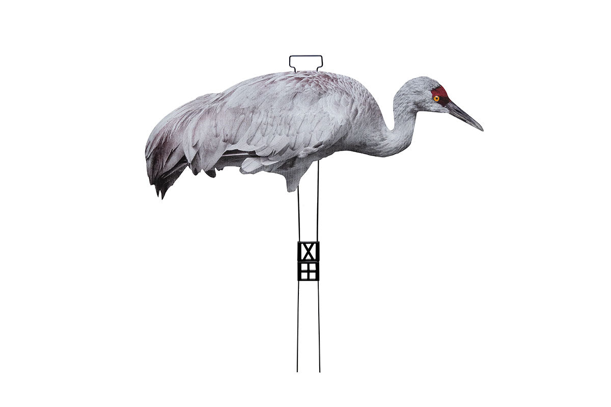 Fully Flocked Sandhill Crane Skinny (12 Pack)