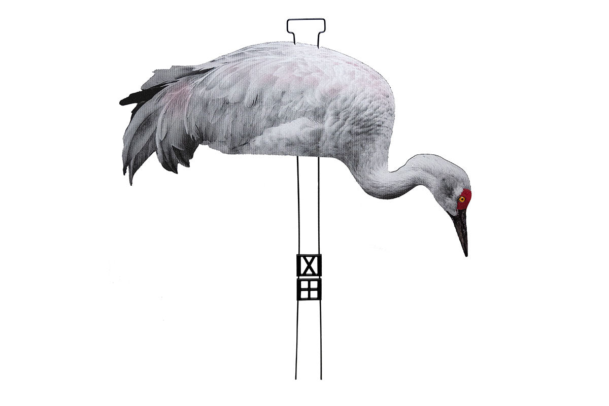 Fully Flocked Sandhill Crane Skinny (12 Pack)