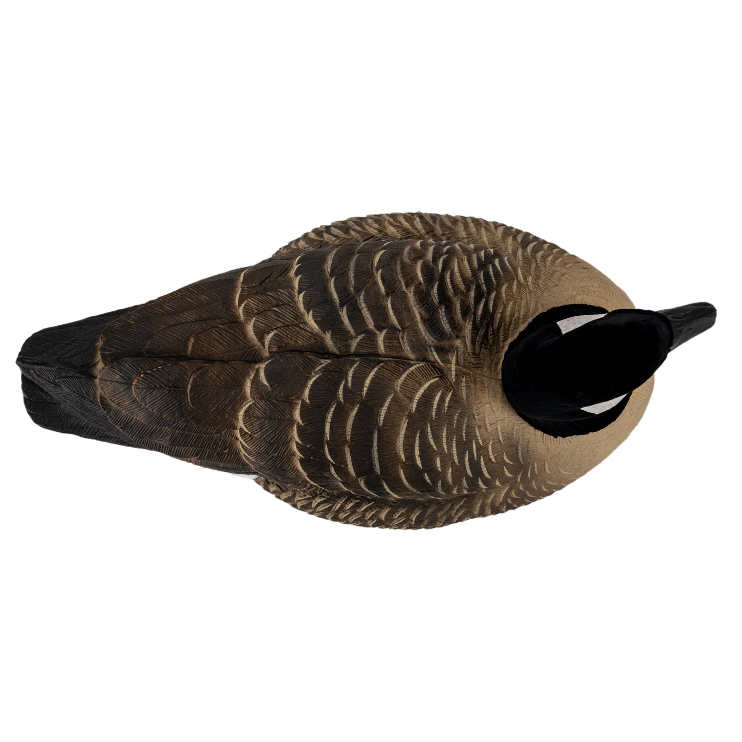 Flight Lesser Canada Floater Decoys