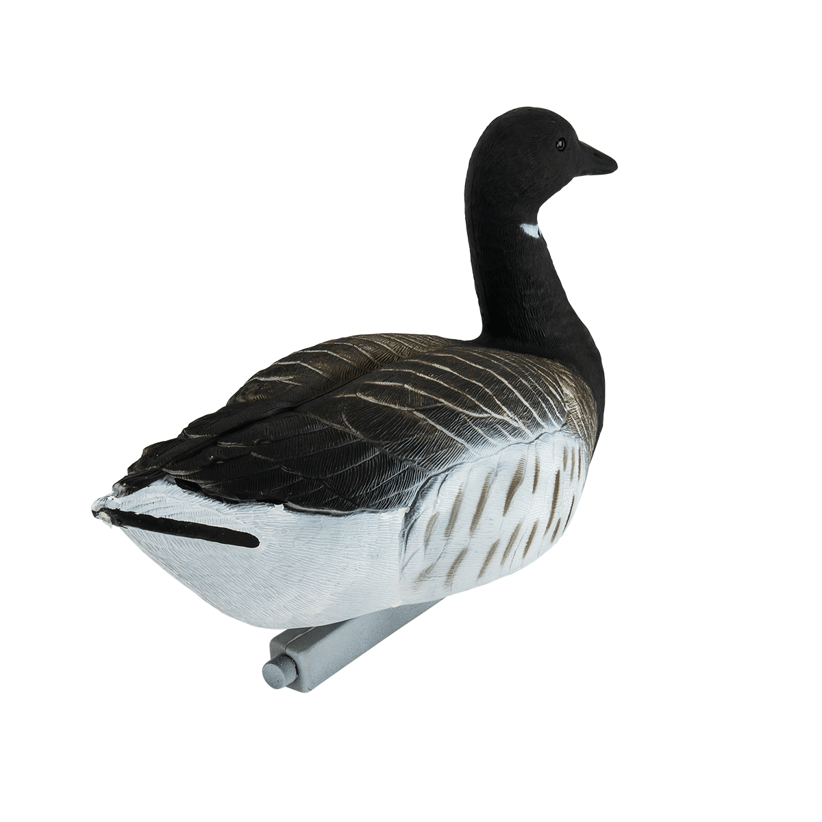 Migration Edition Brant Goose