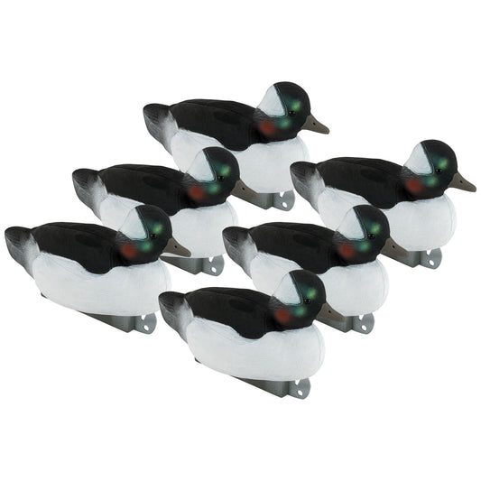 Migration Edition Bufflehead