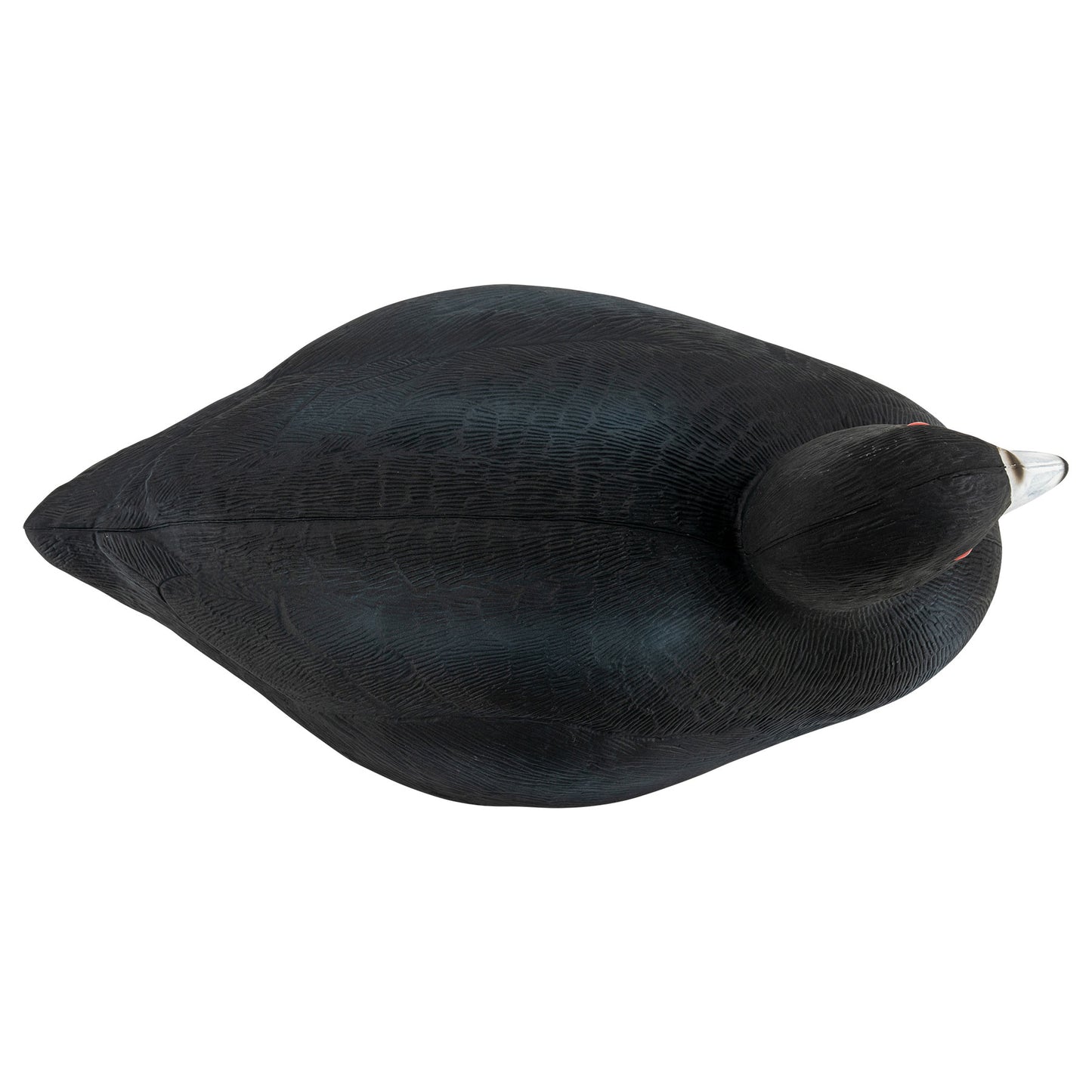 Pro Series Coot