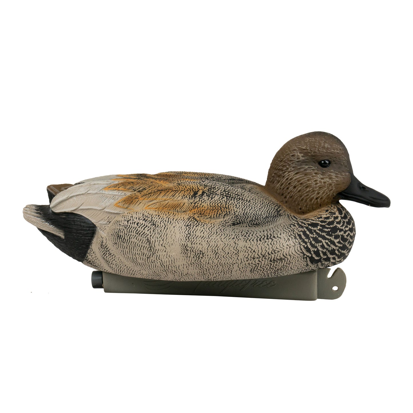 Flight Gadwall