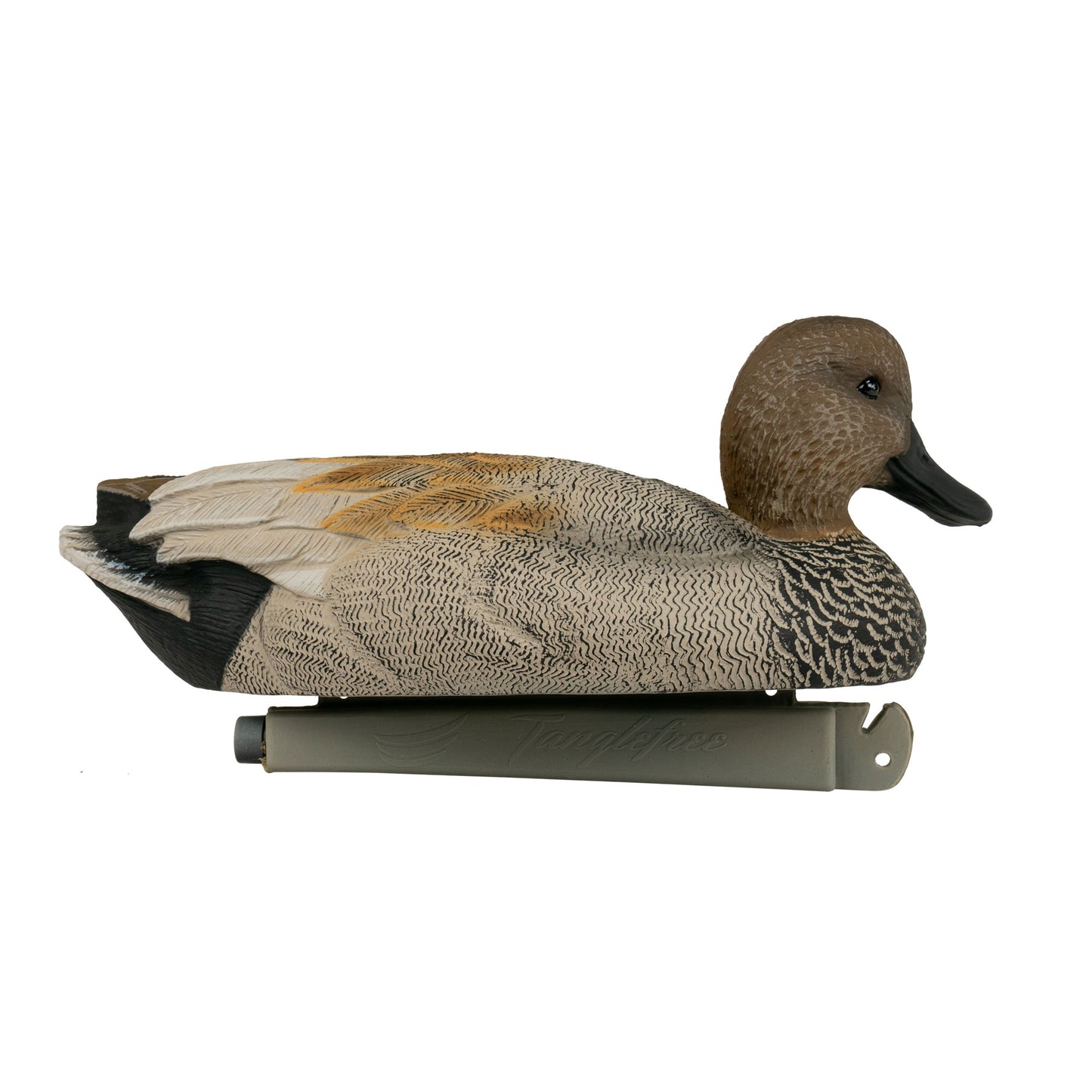 Flight Gadwall