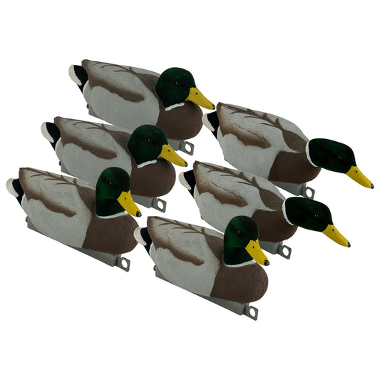 6 Mallard drake decoys at a 3/4 angle