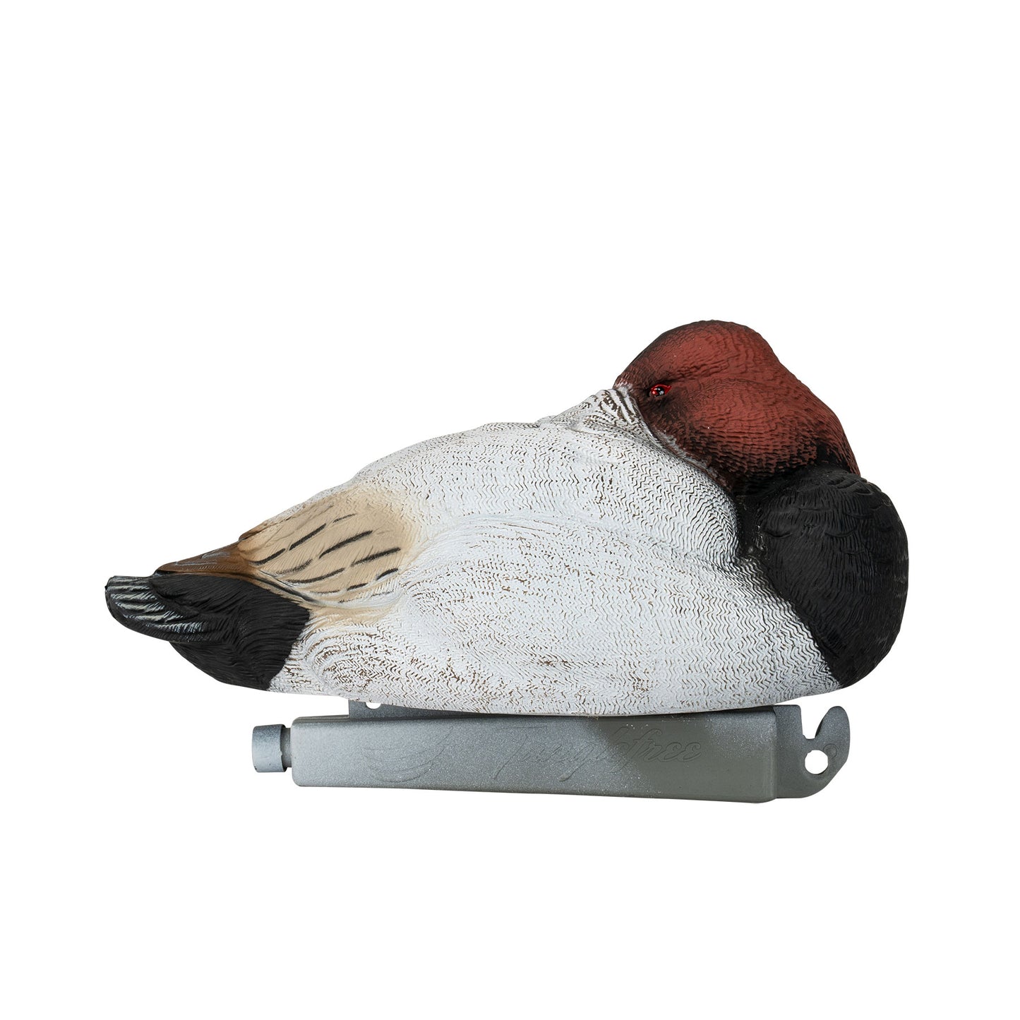 Flight Canvasback