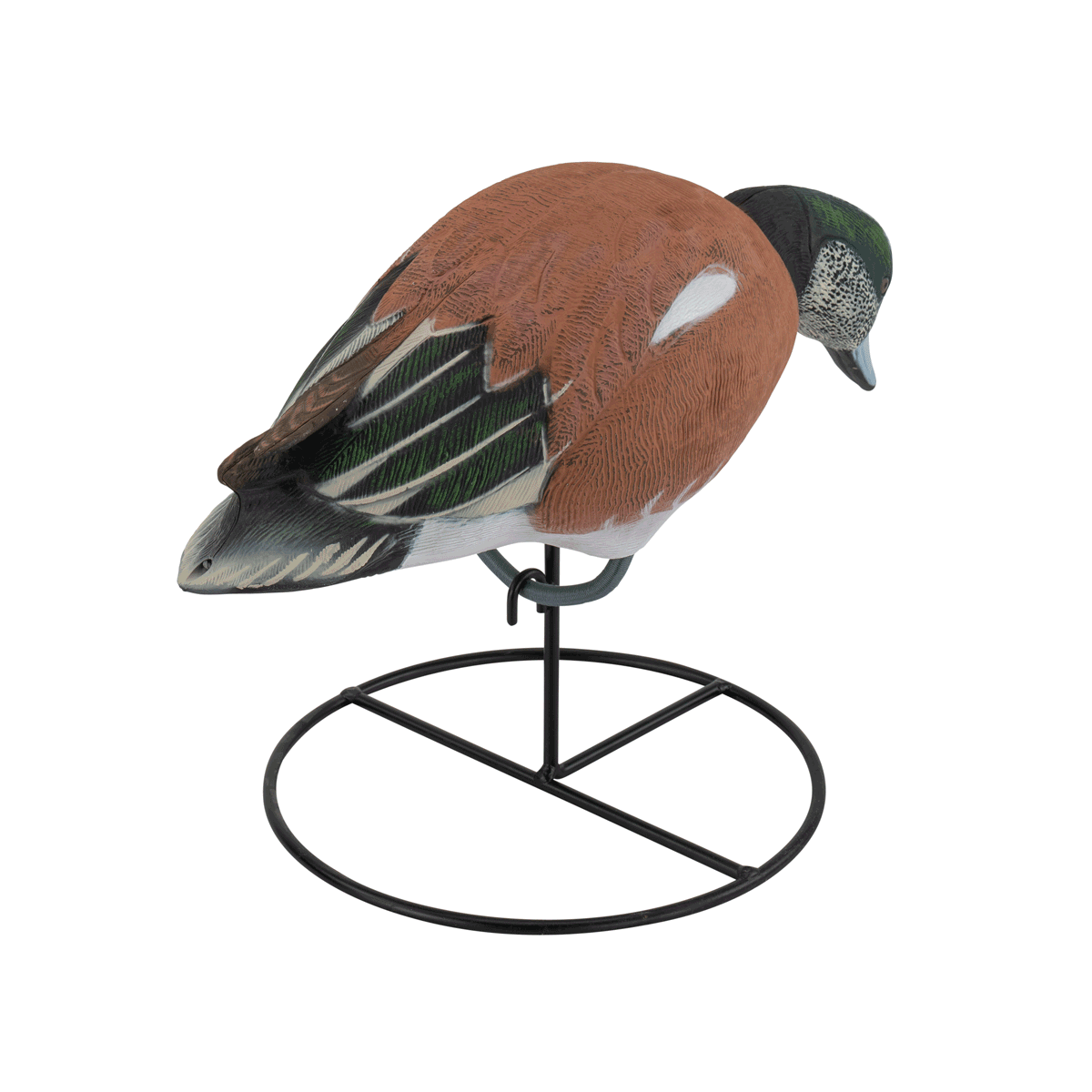 Pro Series Full Body American Wigeon