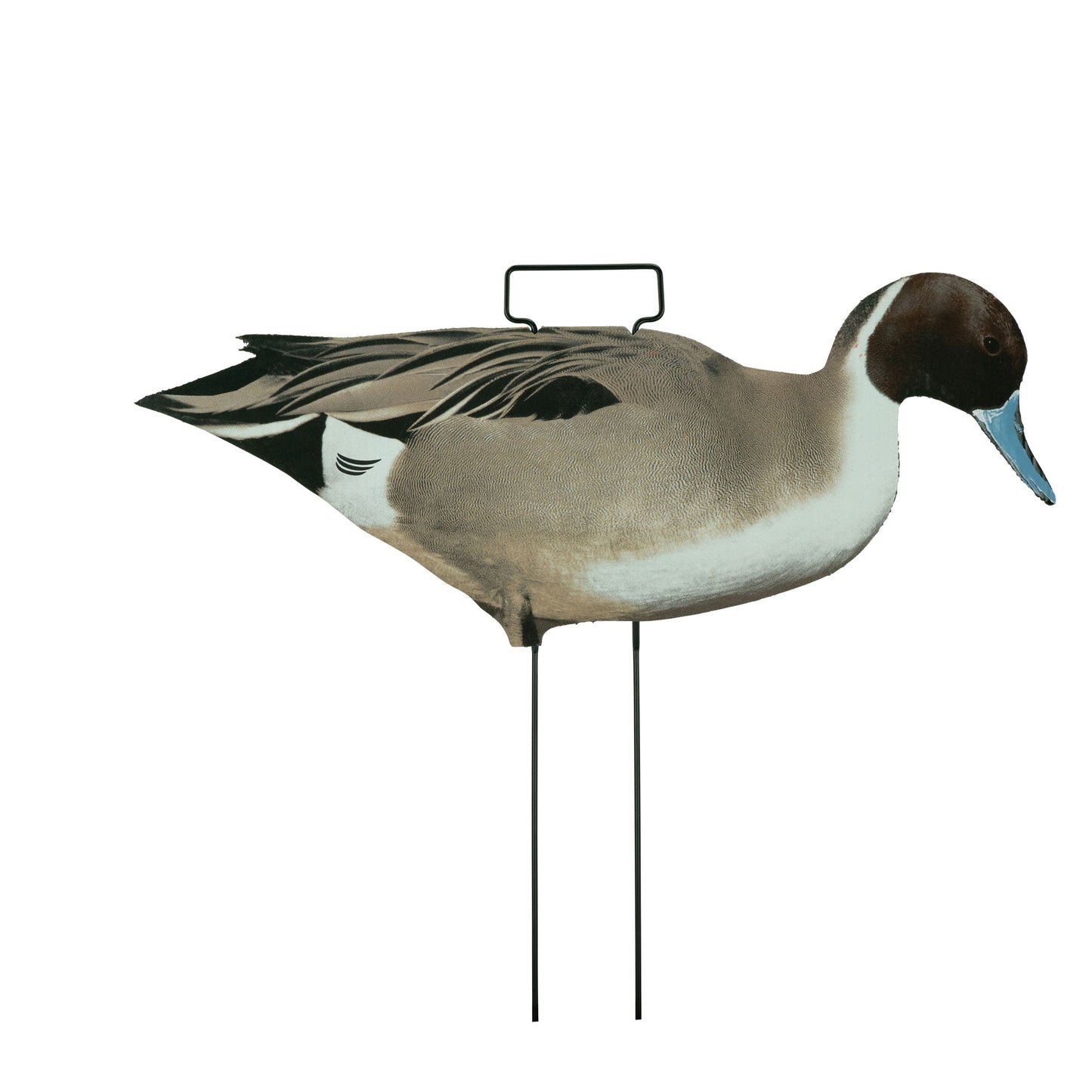 Fully Flocked Pintail Skinny Decoys (12 Pack)