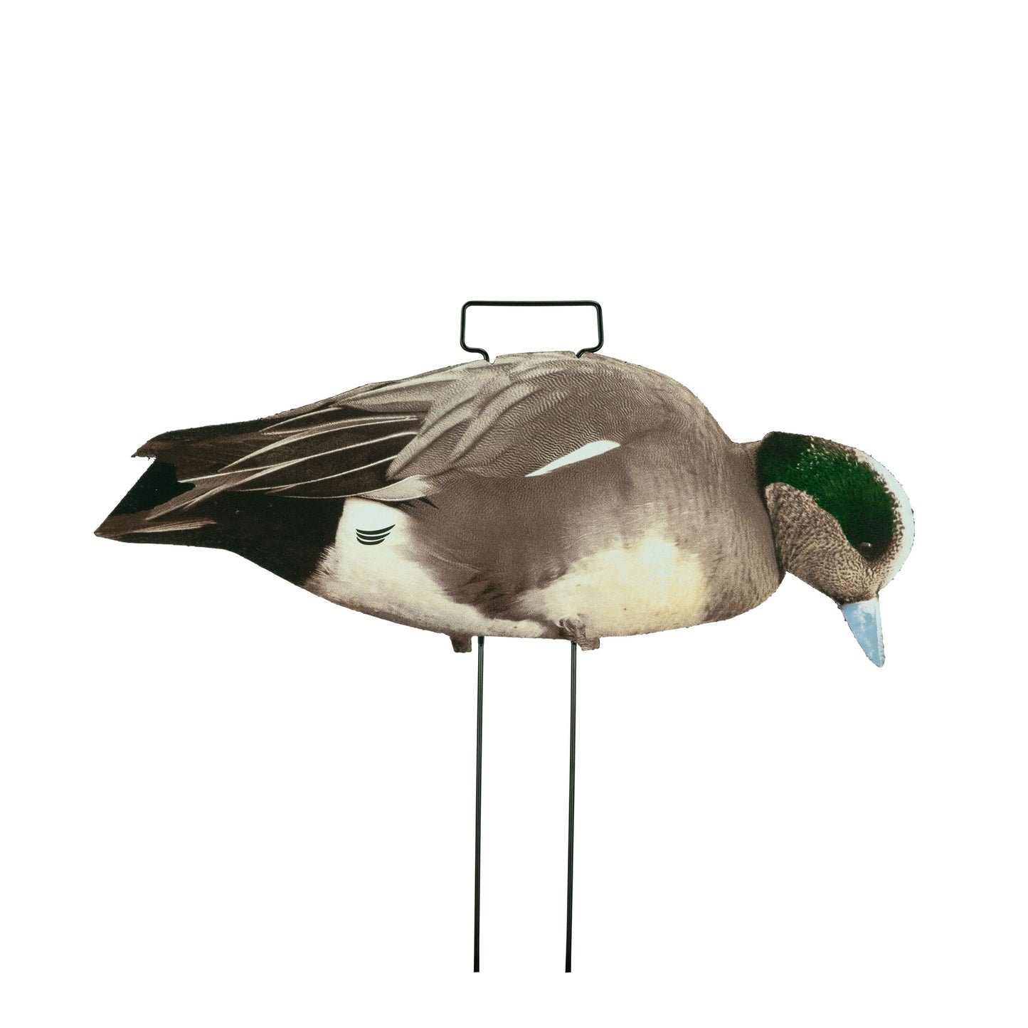 Fully Flocked Wigeon Skinny Decoys (12 Pack)