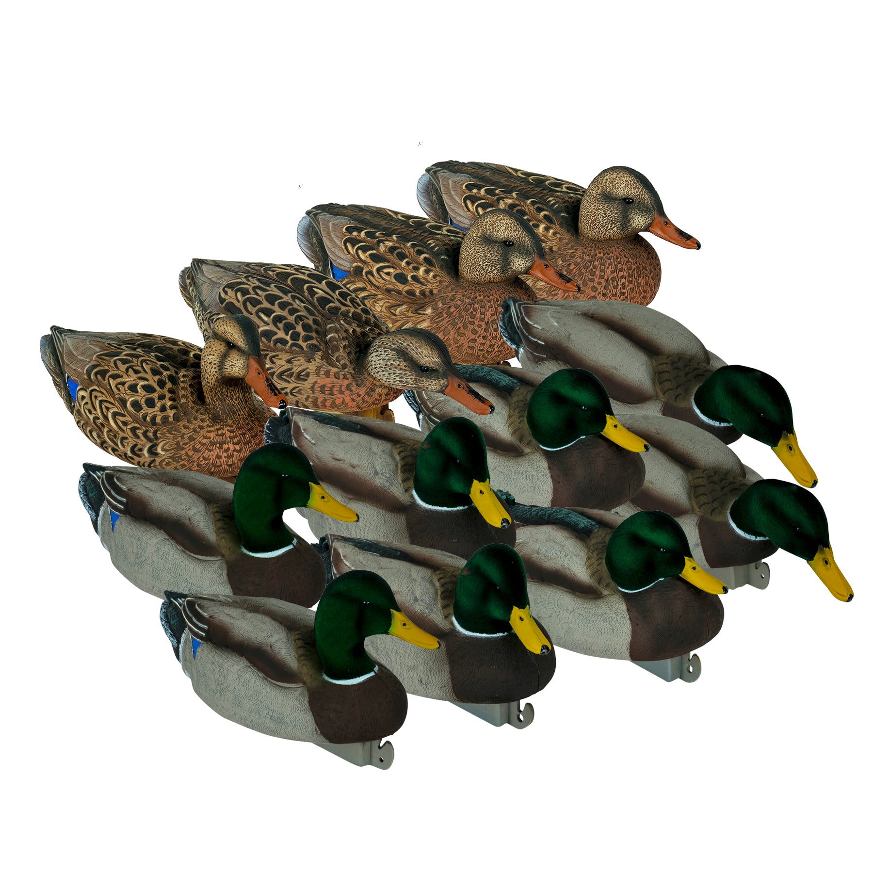 12 mallard decoy image at 3/4 angle