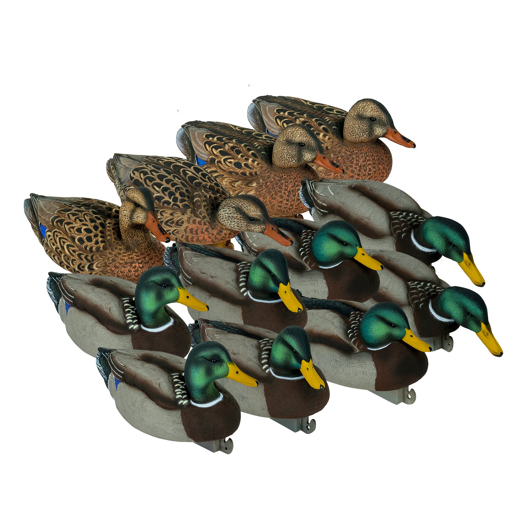 12 Mallard decoy image at a 3/4 angle