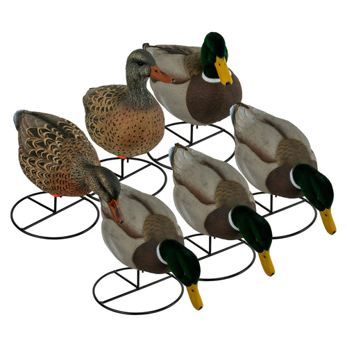 Flight Flocked Full Body Mallard 6 Pack