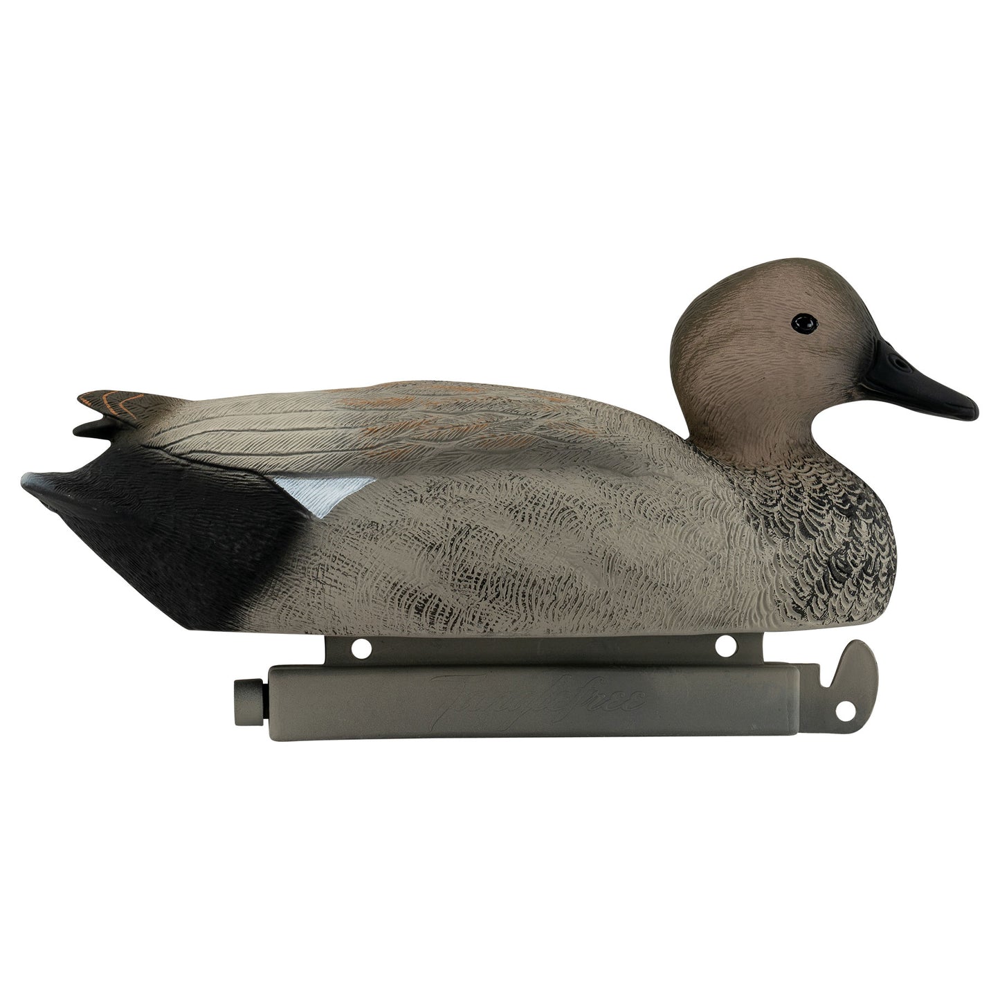 Pro Series Gadwall