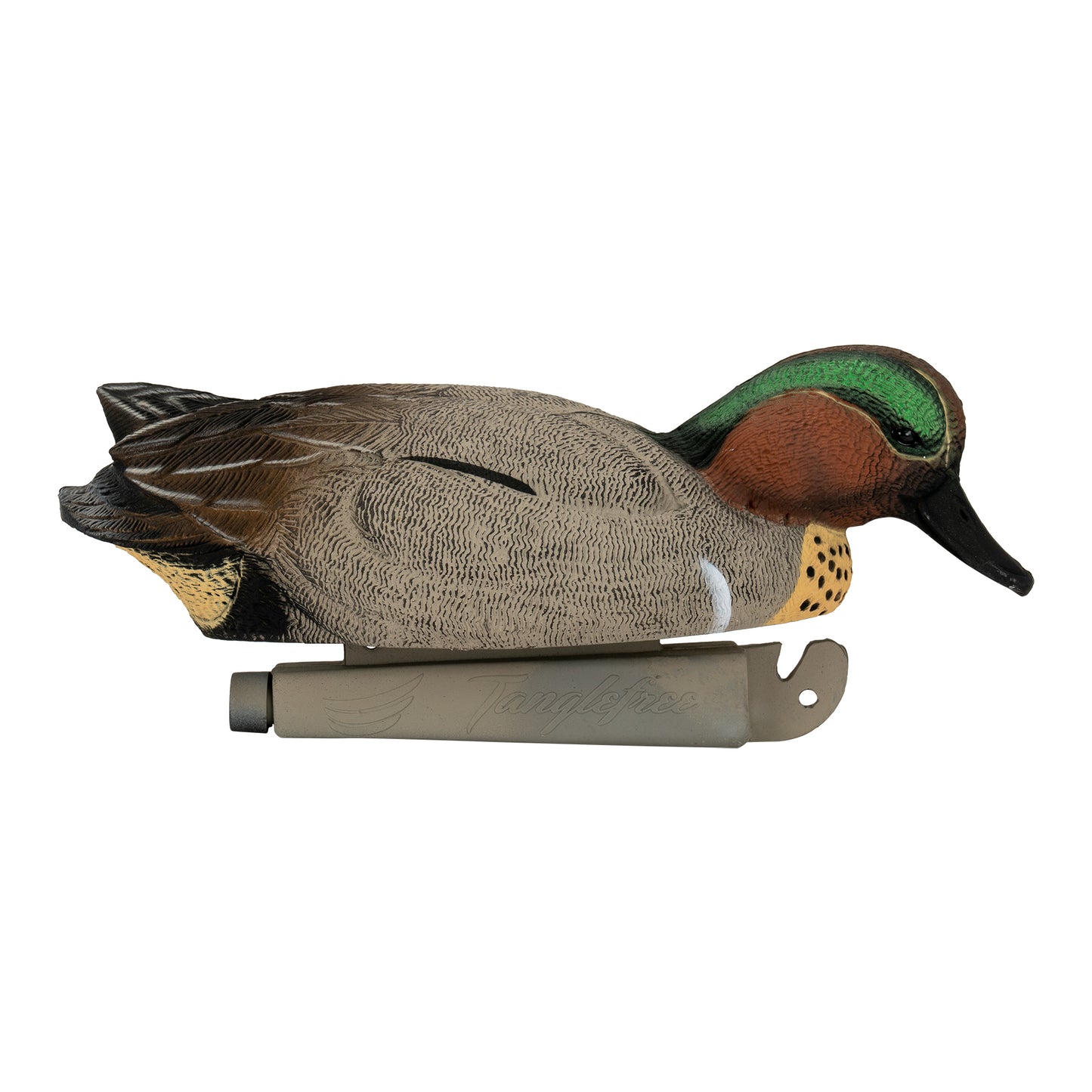 Flight Green Wing Teal