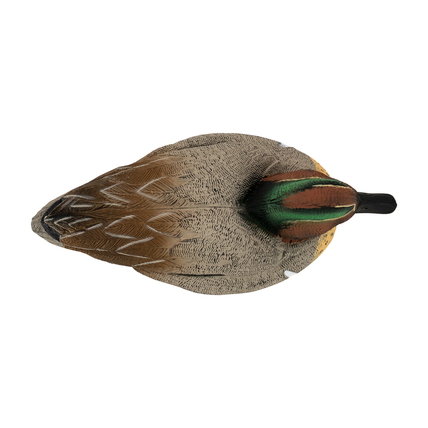 Flight Green Wing Teal