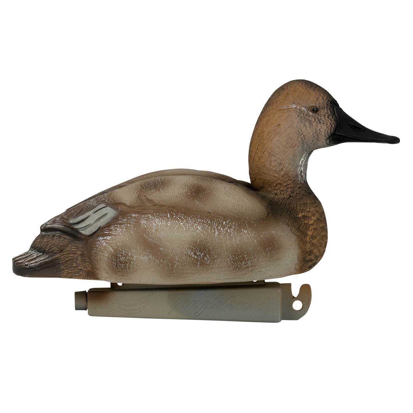 Flight Canvasback