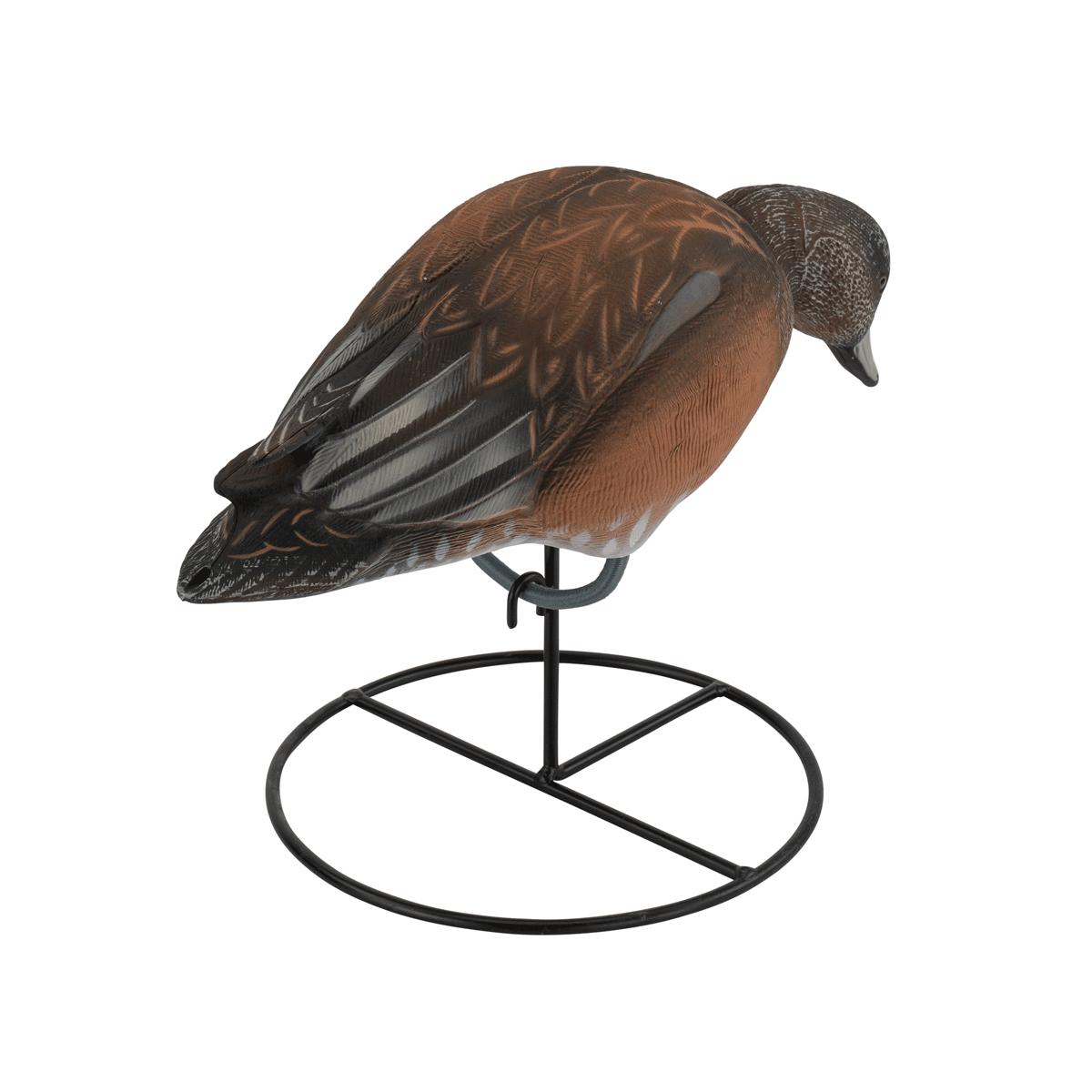 Pro Series Full Body American Wigeon