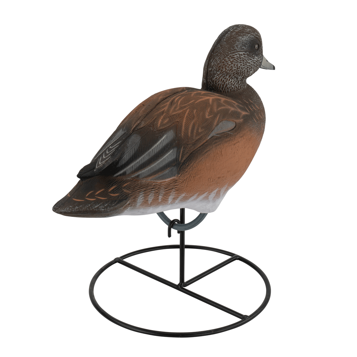 Pro Series Full Body American Wigeon