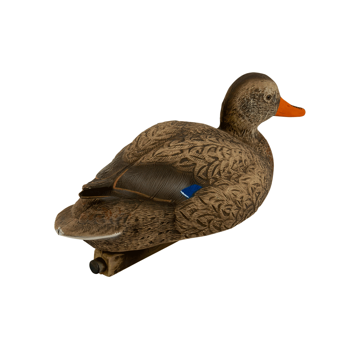 Mallard hen decoy rotating image