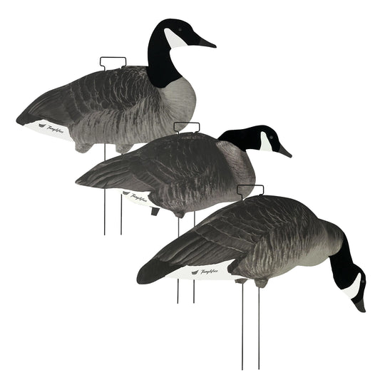 Canada Skinny Decoys (12 Pack)