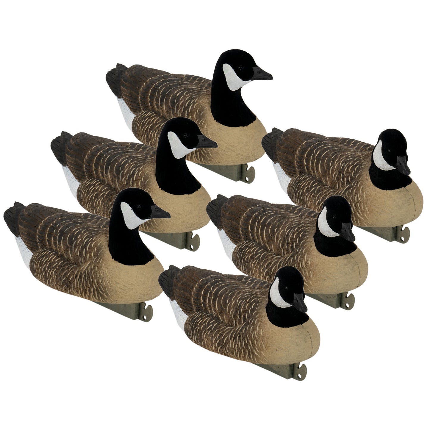 Flight Lesser Canada Floater Decoys