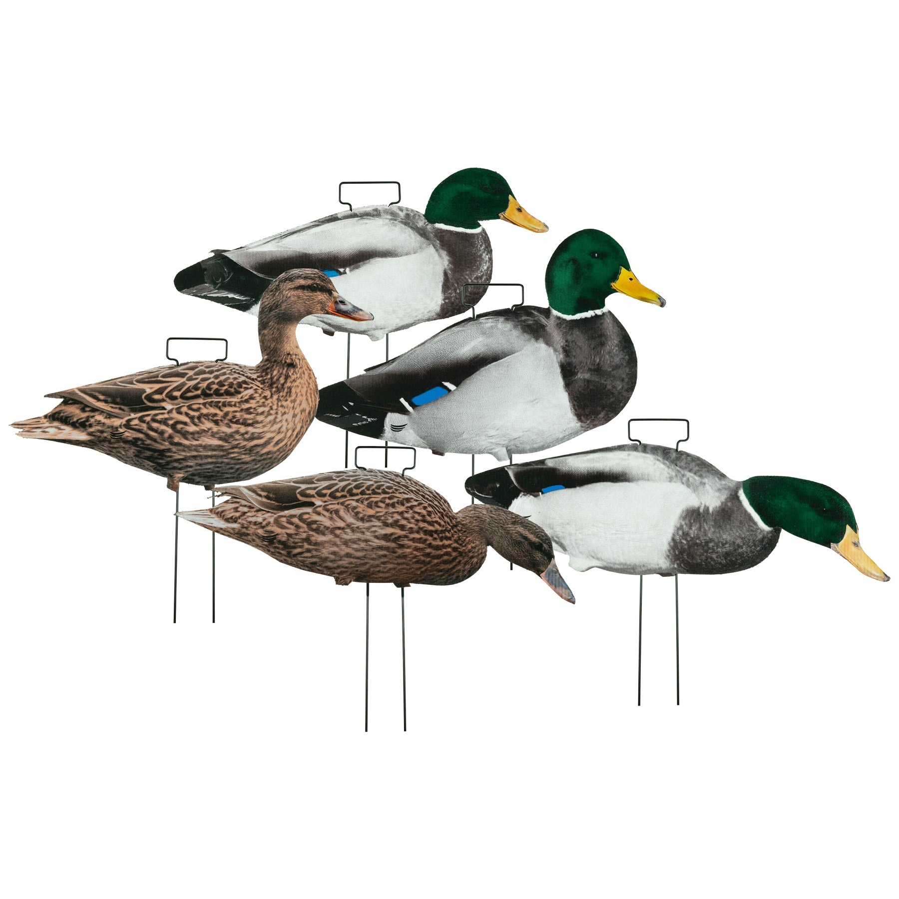 5 Mallard Skinny Decoys