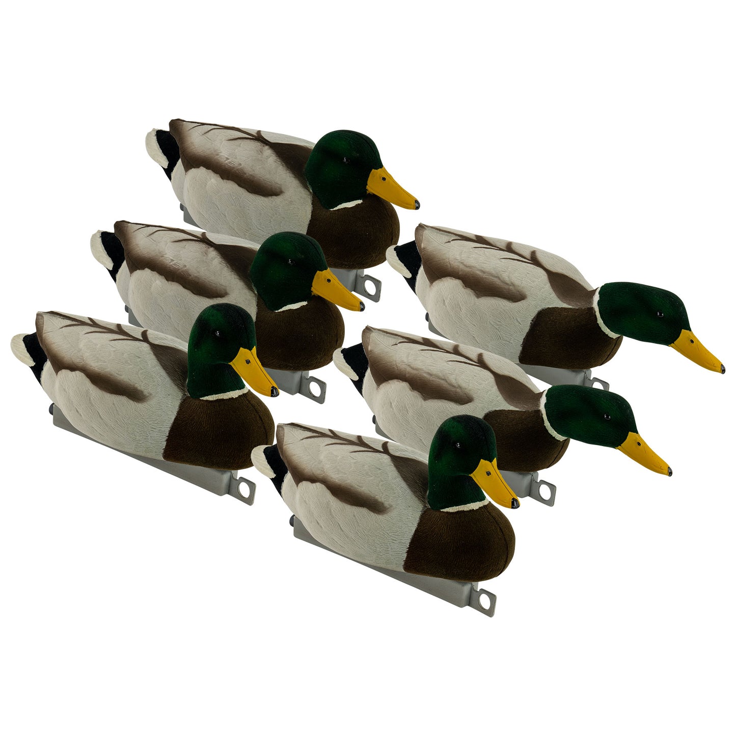 6 Mallard drake decoys 3/4 angle image