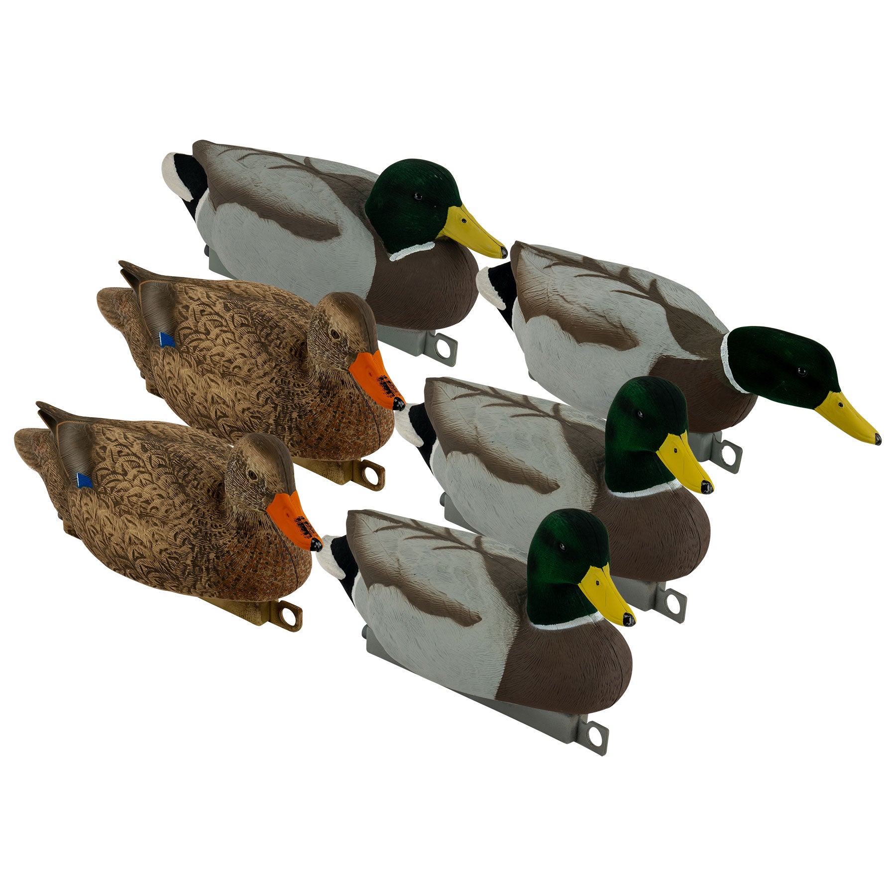 6 mallard decoy image at a 3/4 angle