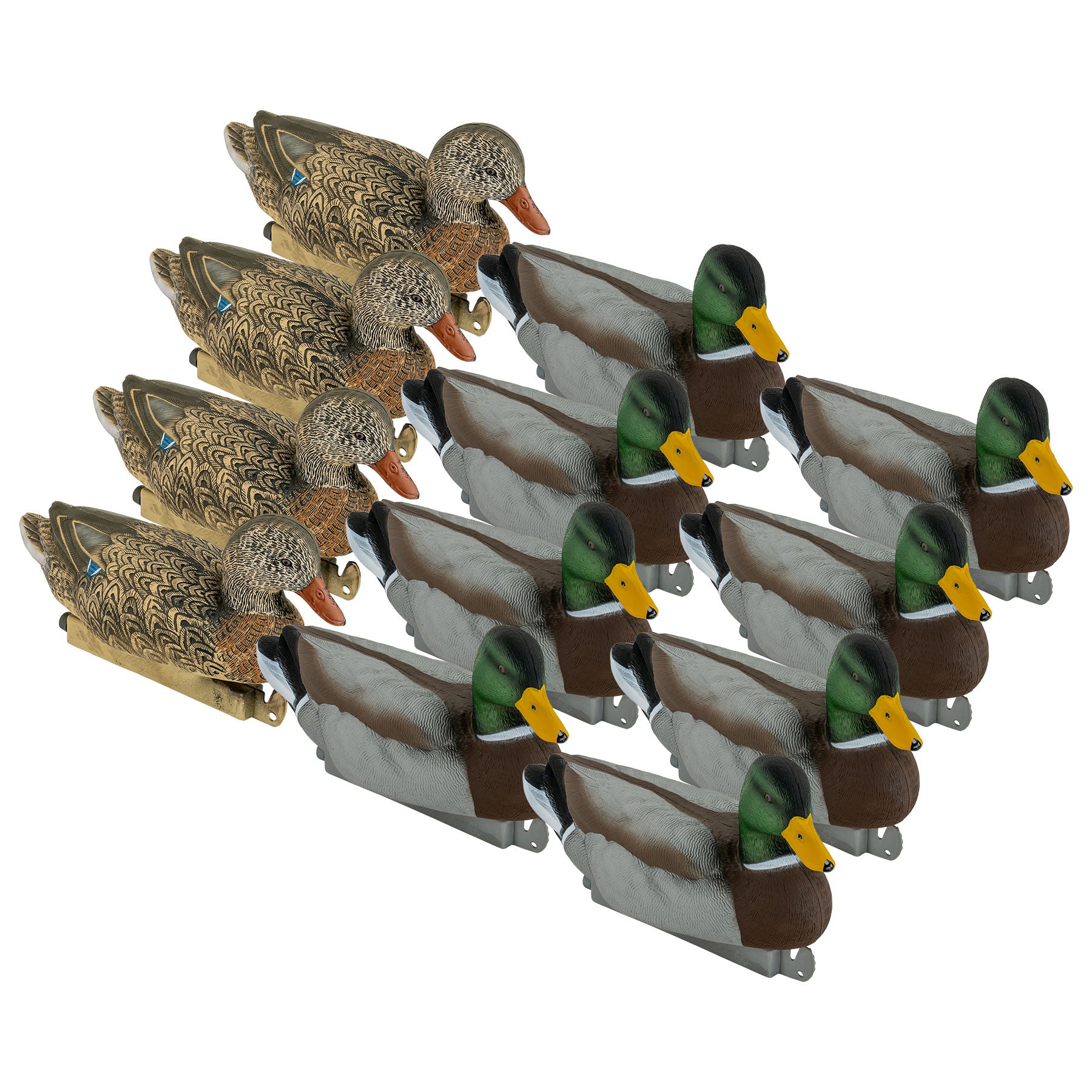 12 Mallard Decoys 3/4 angle.