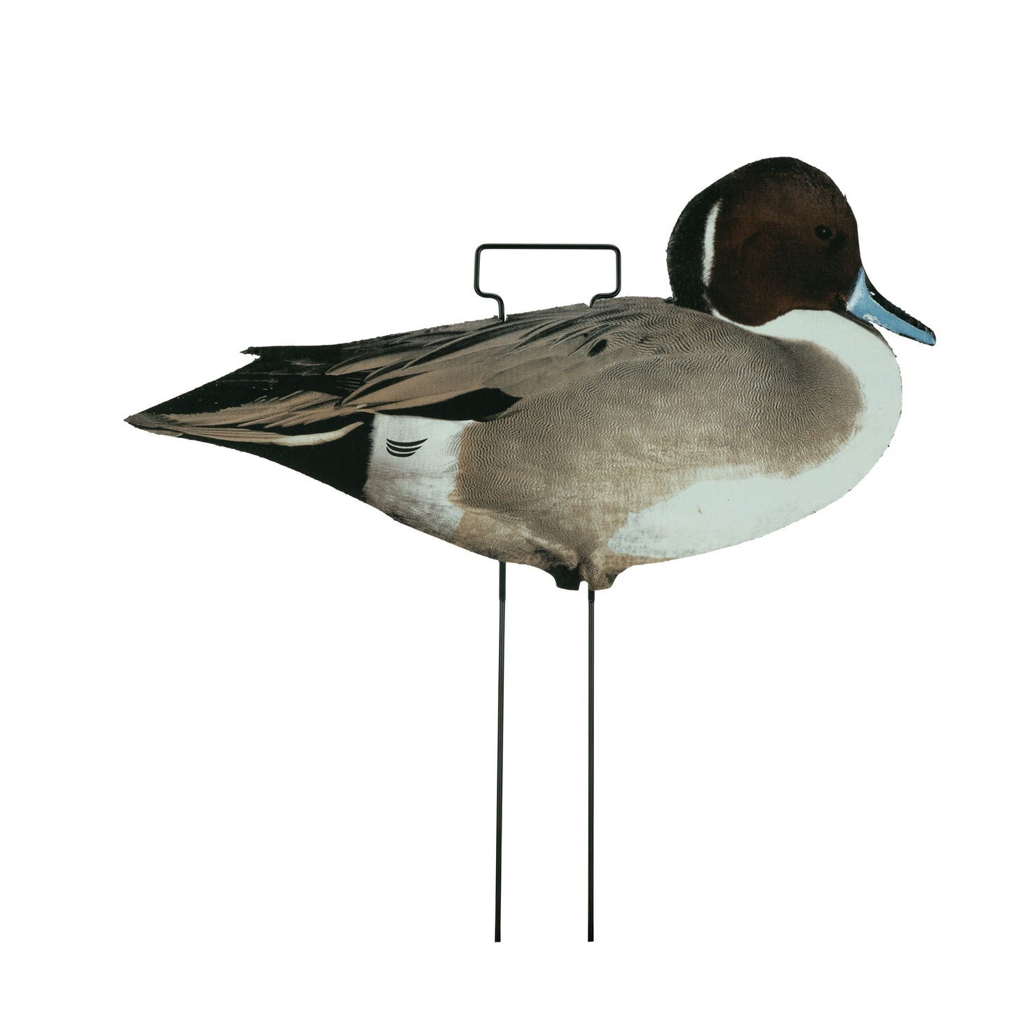 Fully Flocked Pintail Skinny Decoys (12 Pack)