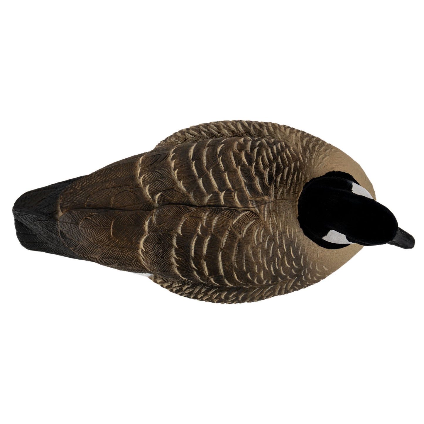 Flight Lesser Canada Floater Decoys